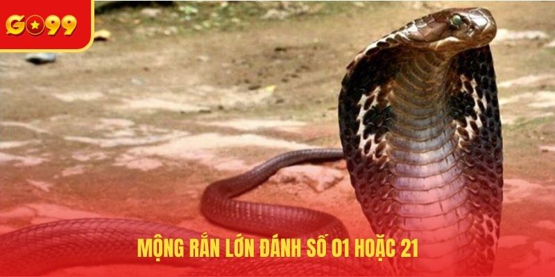 Mộng rắn lớn đánh số 01 hoặc 21
